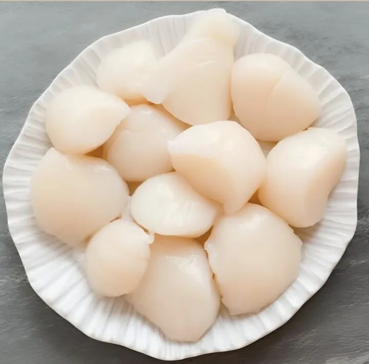 Fresh scallop premium import Indonesia PT Athan Gemilang Perkasa
